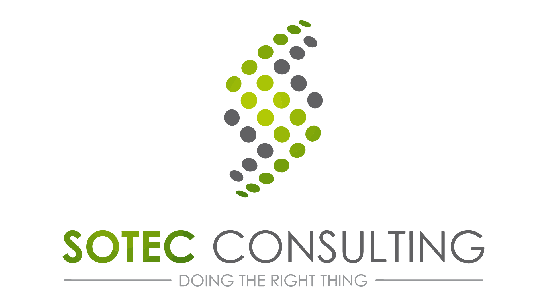 Sotec Consulting